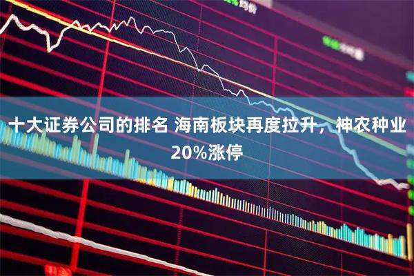 十大证券公司的排名 海南板块再度拉升，神农种业20%涨停